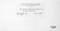 Image Associated With the Occurence